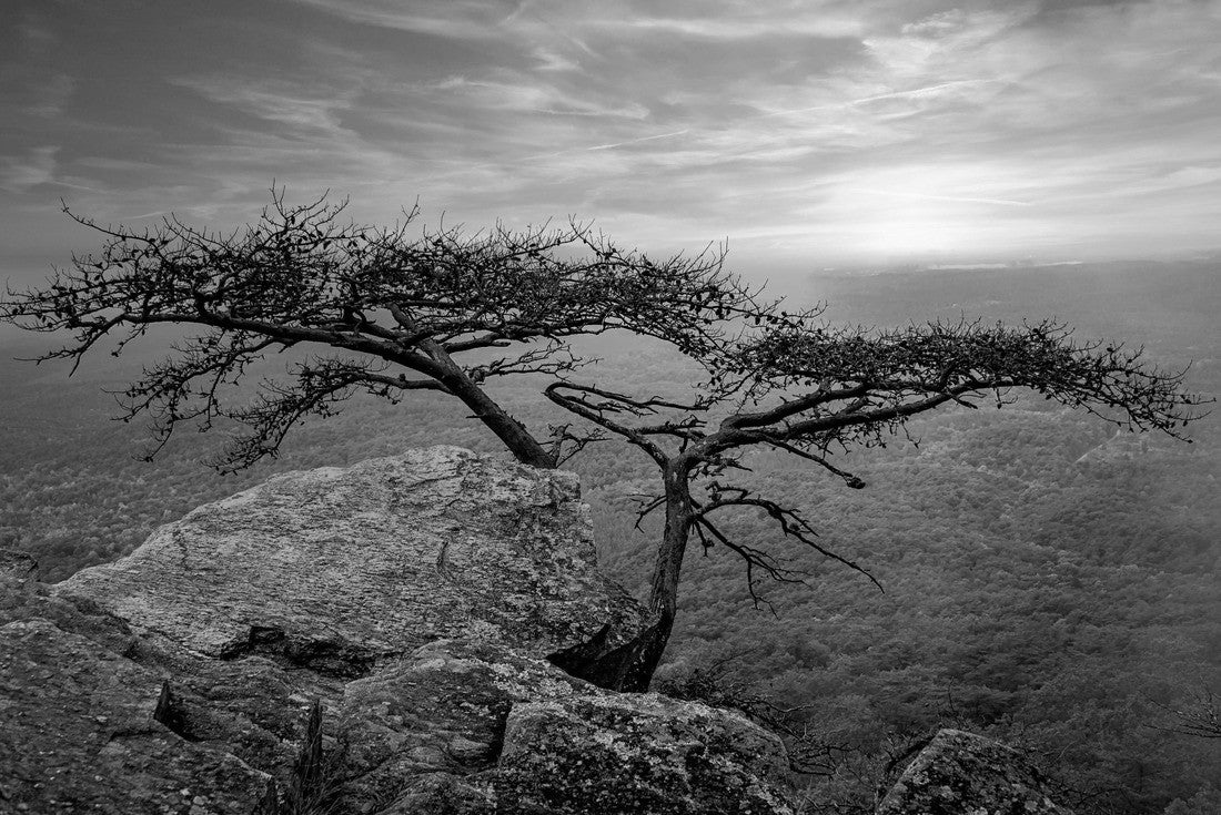Sunrise at Cheaha State Park, Talladega National Forest, Alabama, USA 2000pc PuzzleBlack and White