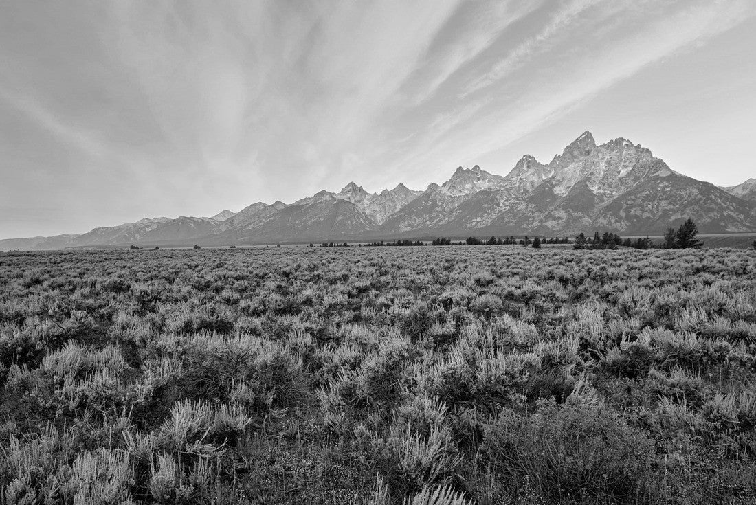 Noah Jigsaw Puzzle Sunrise at the Grand Teton National Park. Wyoming. United States in black white 2000 pieces
