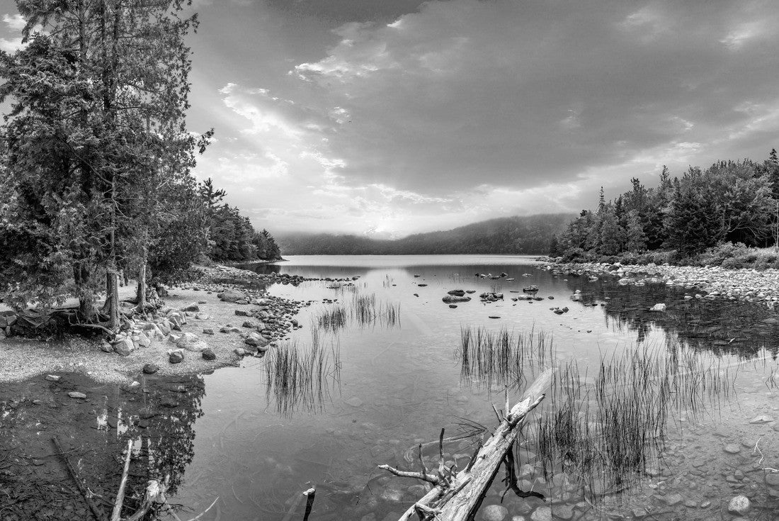 Noah Jigsaw Puzzle scenic lake Jordan in Arcadia National Park, Bar Harbor in black white 2000 pieces