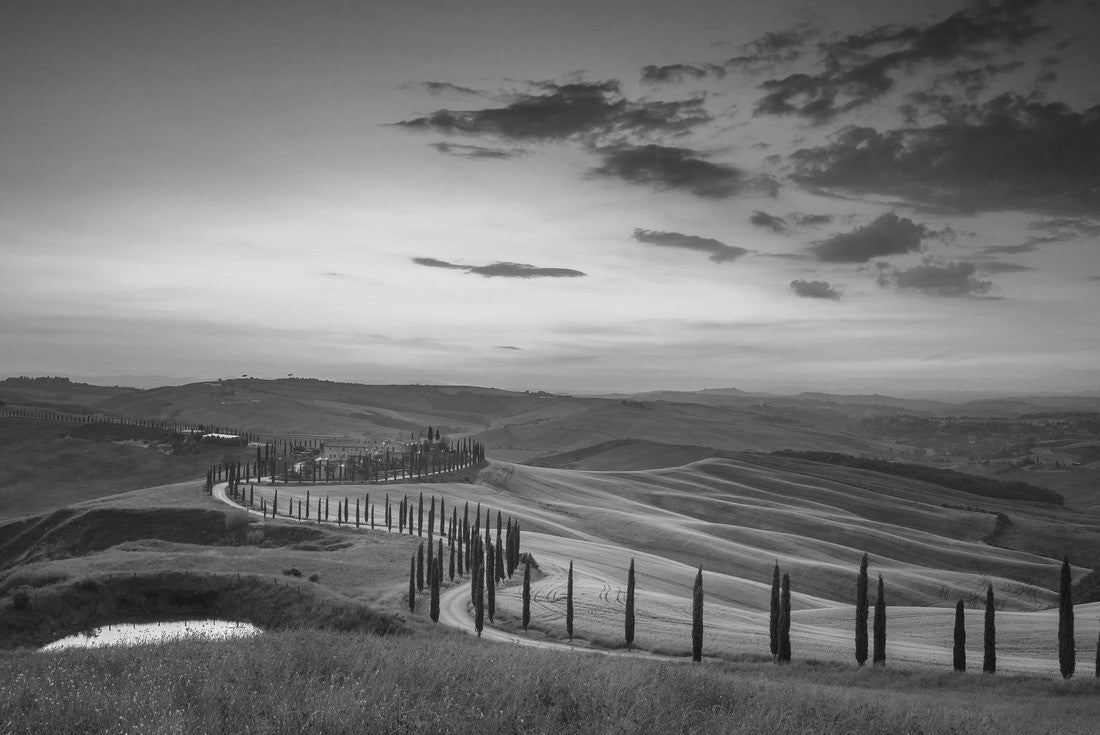 Fantastic summer colorful sunset landscape in Tuscany. Wonderful flowery grain fields and winding rural road with cypresses at sunset, Asciano, Tuscany, Italy 2000pc PuzzleBlack and White