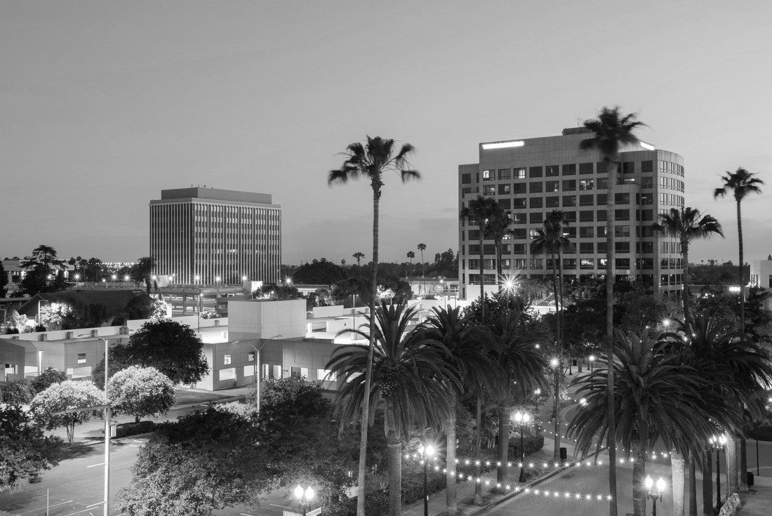 Twilight palm tree framing the skyline of downtown Anaheim, California 2000pc PuzzleBlack and White