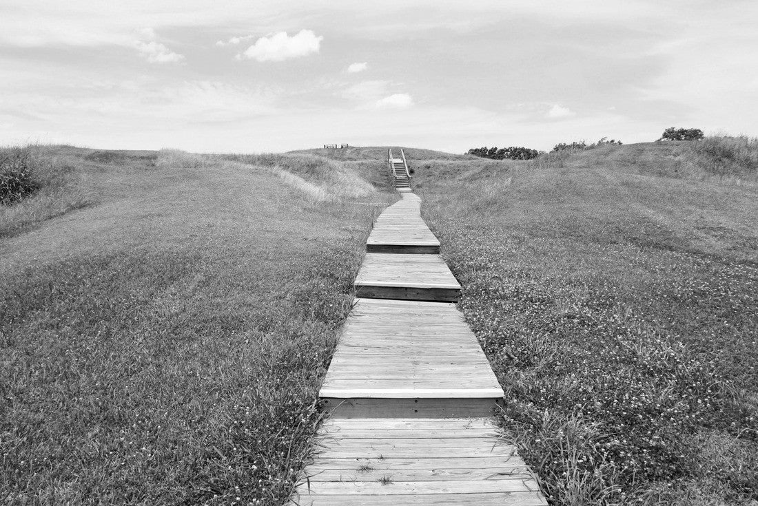 Poverty Point World Heritage Site in Louisiana is a prehistoric monumental earthworks site constructed by the Poverty Point culture. Boardwalk stairs climbing the largest earthen mound - Mound A 2000pc PuzzleBlack and White