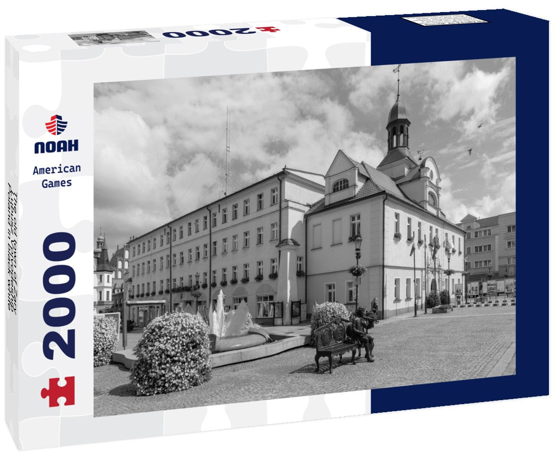 The old town of Zary - Lubusz Voivodeship, Poland 2000pc PuzzleBlack and White