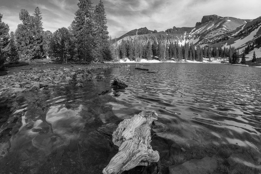 Noah Jigsaw Puzzle Stella Lake, Wheeler Peak, Great Basin National Park at 10,000 feet, past end of Wheeler Peak Scenic Drive, Nevada in black white 2000 pieces