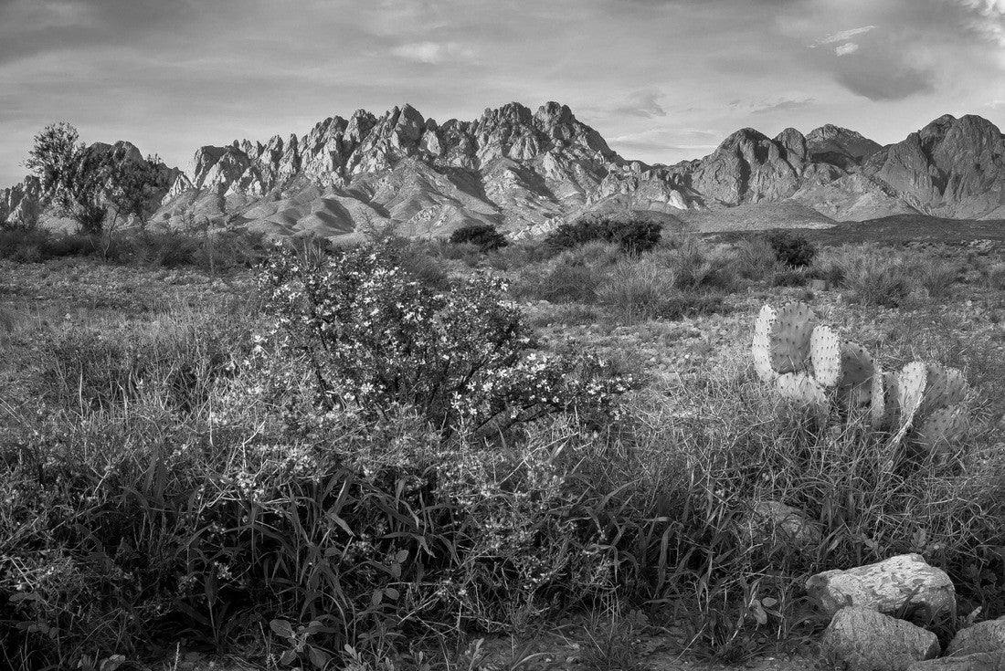 Organ Mountains, Las Cruces - New Mexico 2000pc PuzzleBlack and White