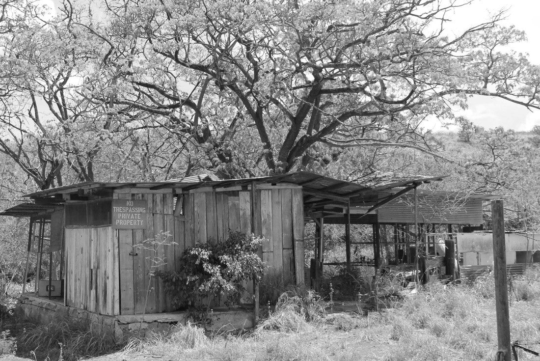 Ruin at Honouliuli National Historic Site on the island of Oahu, was Hawai?i's largest and longest-operating internment camp, opened in 1943 and closed in 1946 2000pc PuzzleBlack and White