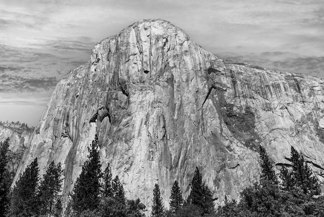 Noah Jigsaw Puzzle World famous rock climbing wall of El Capitan, Yosemite national park, California, usa in black white 2000 pieces