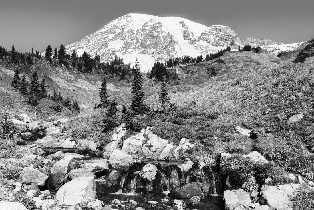 Edith Creek in Mount Rainier National Park flows in front of the volcanic peak as fall colors cover the hillside 2000pc PuzzleBlack and White