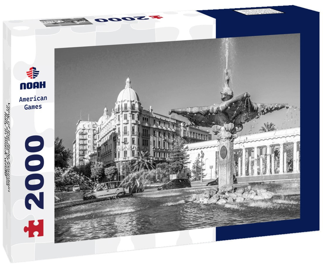 the Sele Fountain in the streets of Foggia, Italy 2000pc PuzzleBlack and White
