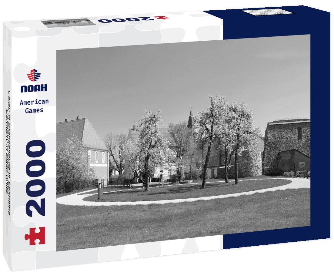 Calau in Brandenburg in Sprintime, Germany 2000pc PuzzleBlack and White