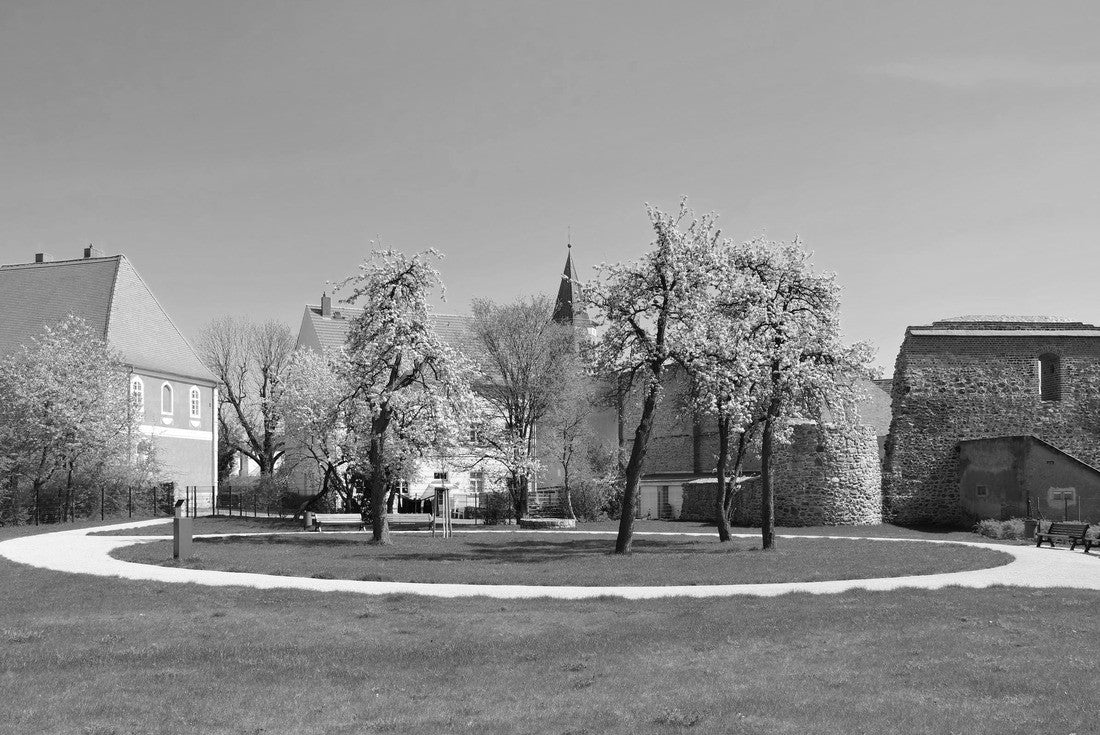 Calau in Brandenburg in Sprintime, Germany 2000pc PuzzleBlack and White