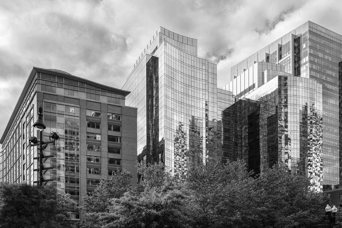 Noah Jigsaw Puzzle Boston Skyline and Cityscape over the green park. Abstract architectural geometry of modern buildings in downtown Boston, Massachusetts in black white 2000 pieces