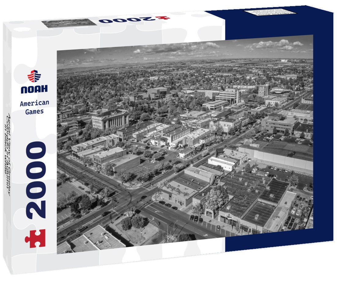 Aerial View of Greeley, Colorado in Autumn 2000pc PuzzleBlack and White
