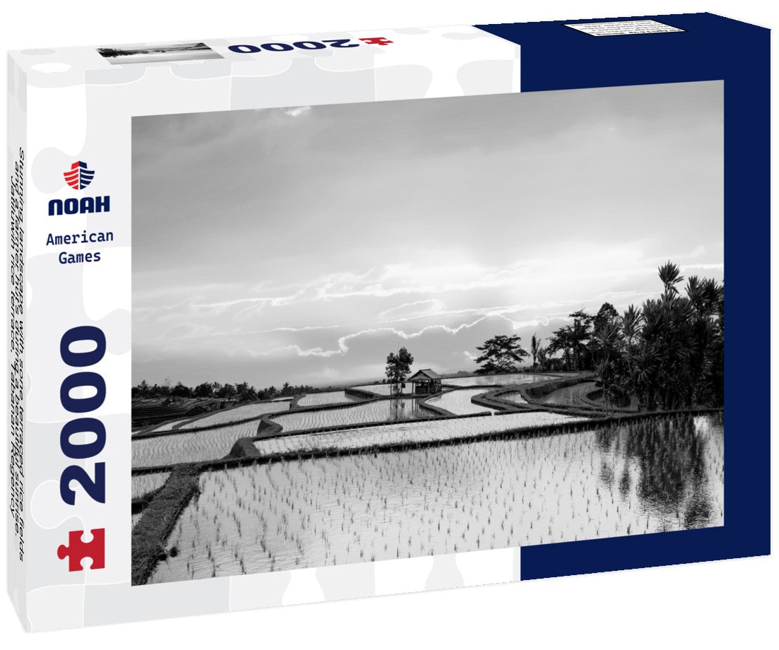 Stunning landscape with sone terraced rice fields and a farmer hut's during a beautiful sunrise. Jatiluwih rice terrace, Tabanan Regency, North Bali, Indonesia 2000pc PuzzleBlack and White