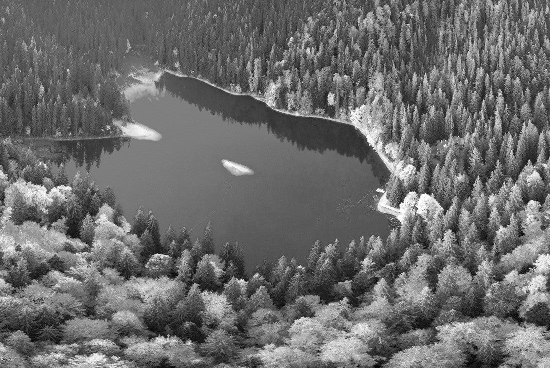 The famous Synevyr lake, a tourist attraction, in the Carpathians, Ukraine, autumn beech and coniferous forest, beautiful mountain landscape 2000pc PuzzleBlack and White
