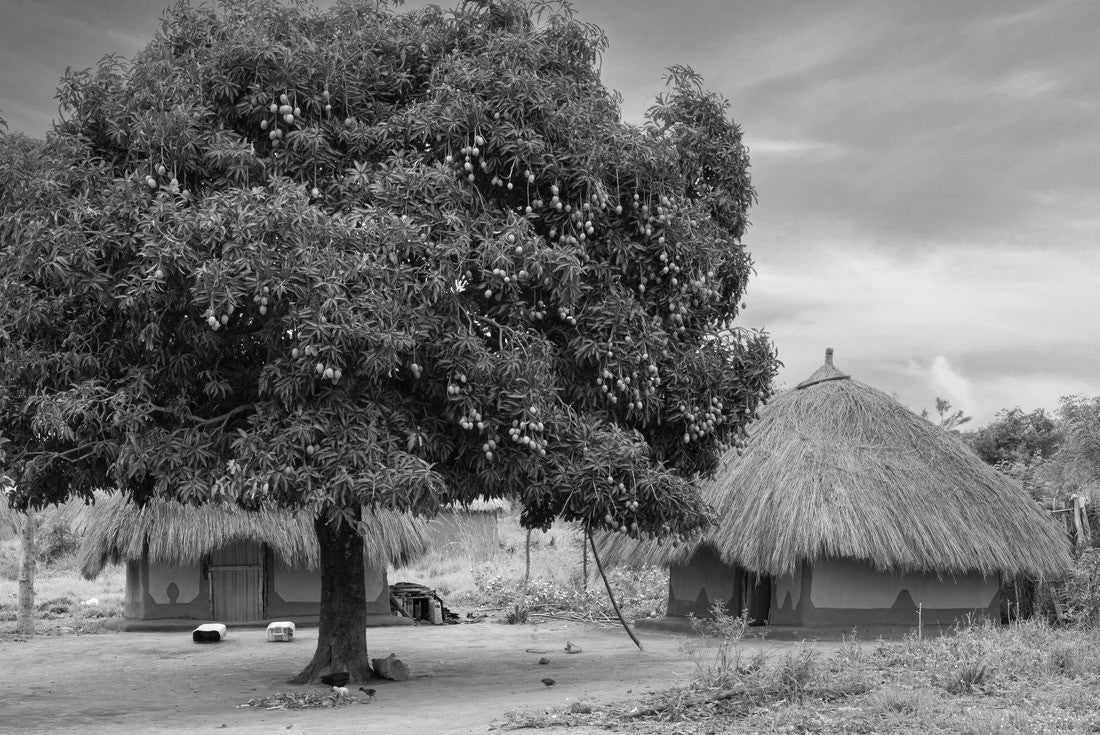 Noah Jigsaw Puzzle Typical African village, Uganda, East Africa in black white 2000 pieces