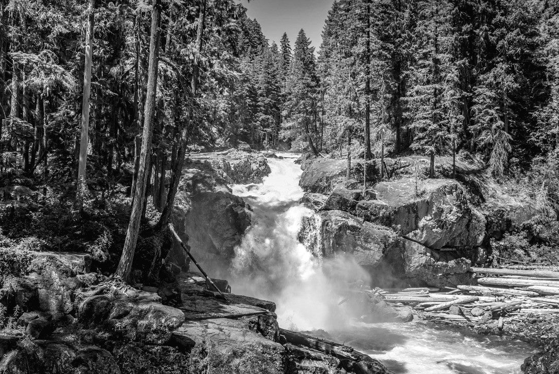Noah Jigsaw Puzzle The Silver Falls Waterfall in the Mount Rainier National Park, Wahsington USA in black white 2000 pieces