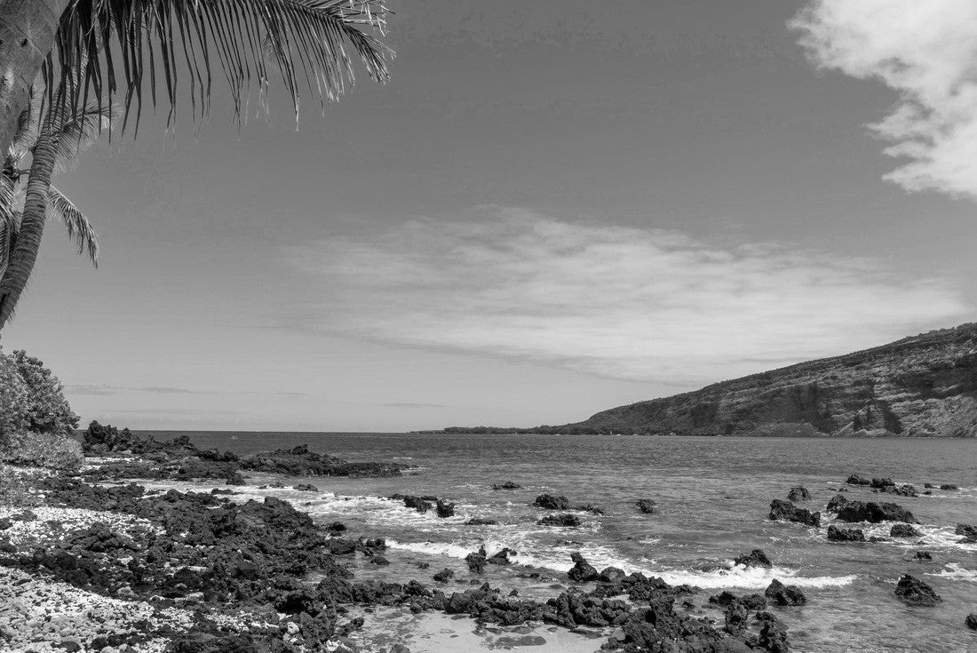 Noah Jigsaw Puzzle The Manini Beach in the Kealakekua Bay in Big Island, Hawaii in black white 2000 pieces
