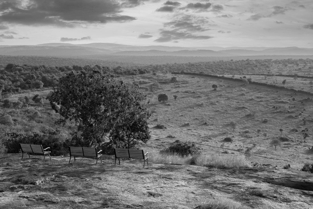 Noah Jigsaw Puzzle Panoramic view of the landscape of Lake Mburo National Park, Uganda in black white 2000 pieces