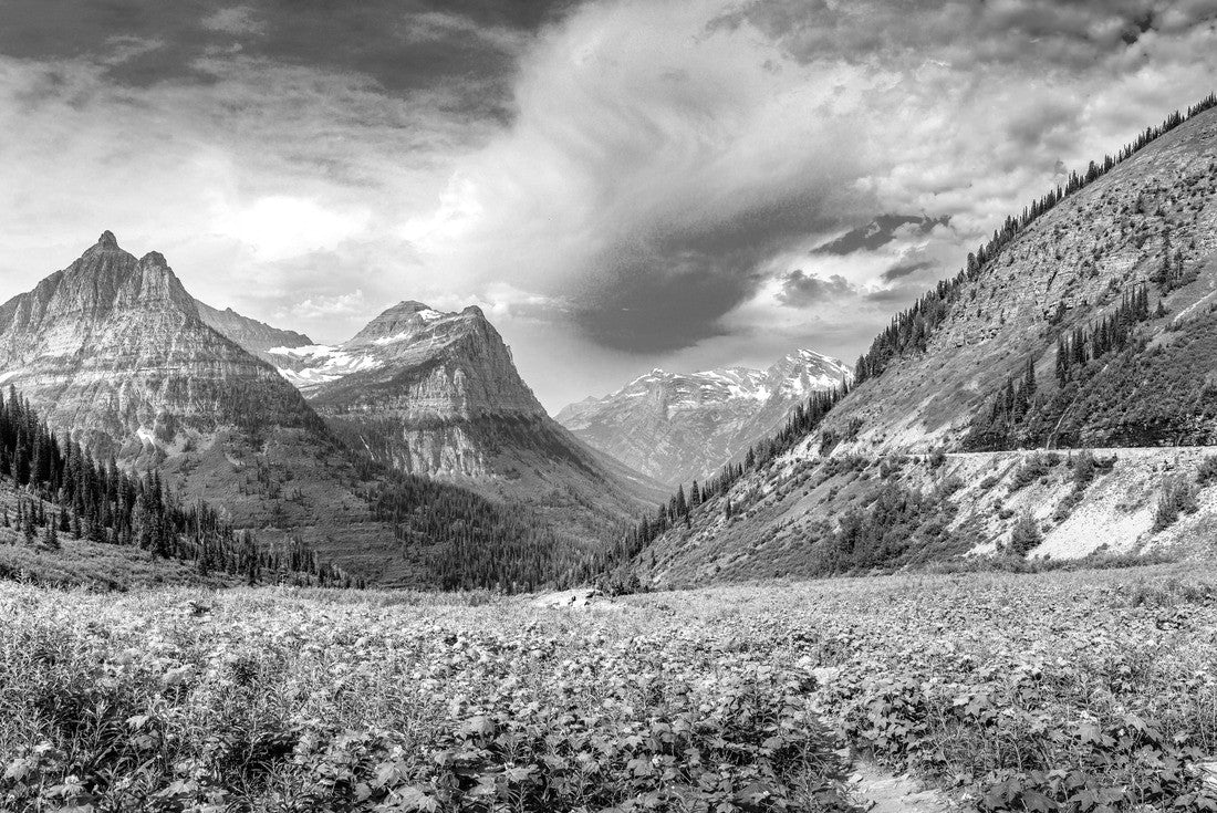 Noah Jigsaw Puzzle Majestic view over the Glacier National Park from the Going to sun road, Montana in black white 2000 pieces
