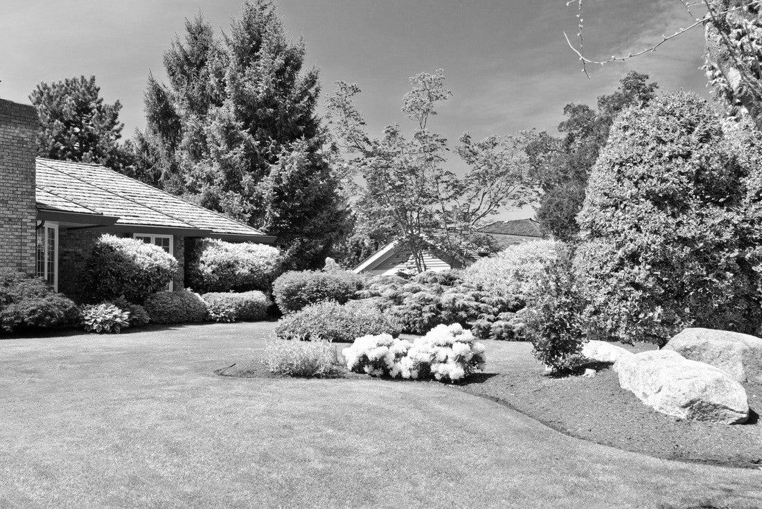 Outdoor garden in North Vancouver, British Columbia, Canada 2000pc PuzzleBlack and White