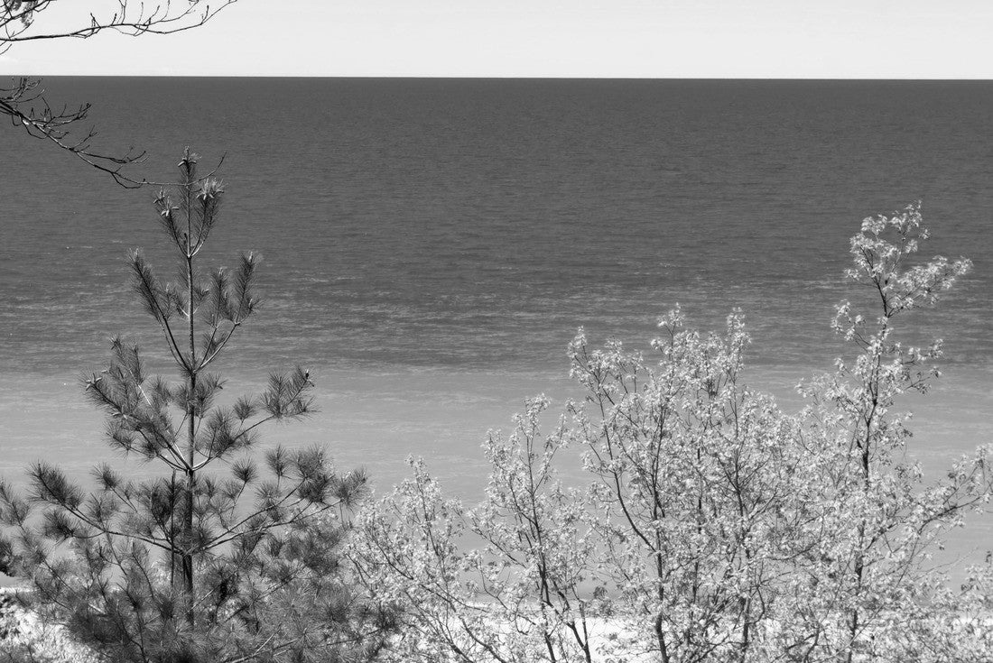 Noah Jigsaw Puzzle Indiana Dunes National Park, Indiana, USA. The views of Lake Michigan and the sand dunes are popular beach and hiking attractions in black white 2000 pieces