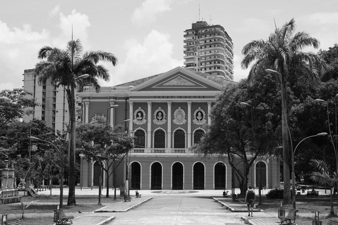 Noah Jigsaw Puzzle The Theatro da Paz (Peace Theater) is located in the city of Belém, in the state of Pará, in Brazil. It was built according to neoclassical architectural lines, in the golden age of rubber in the Amazon in black white 2000 pieces