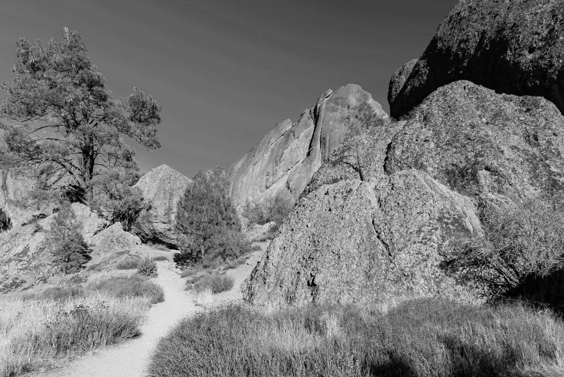 Sunny view of the landscape of Pinnacles National Park at California 2000pc PuzzleBlack and White