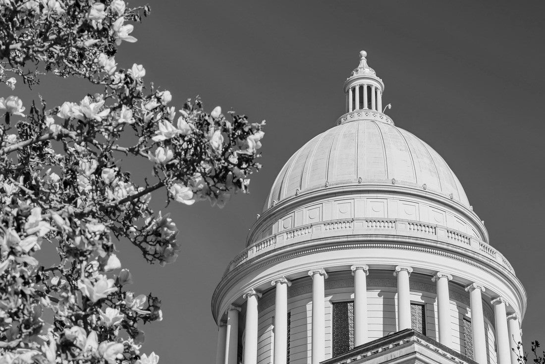 Sunny view of the State Capitol building with magnolia blossom in Arkansas 2000pc PuzzleBlack and White