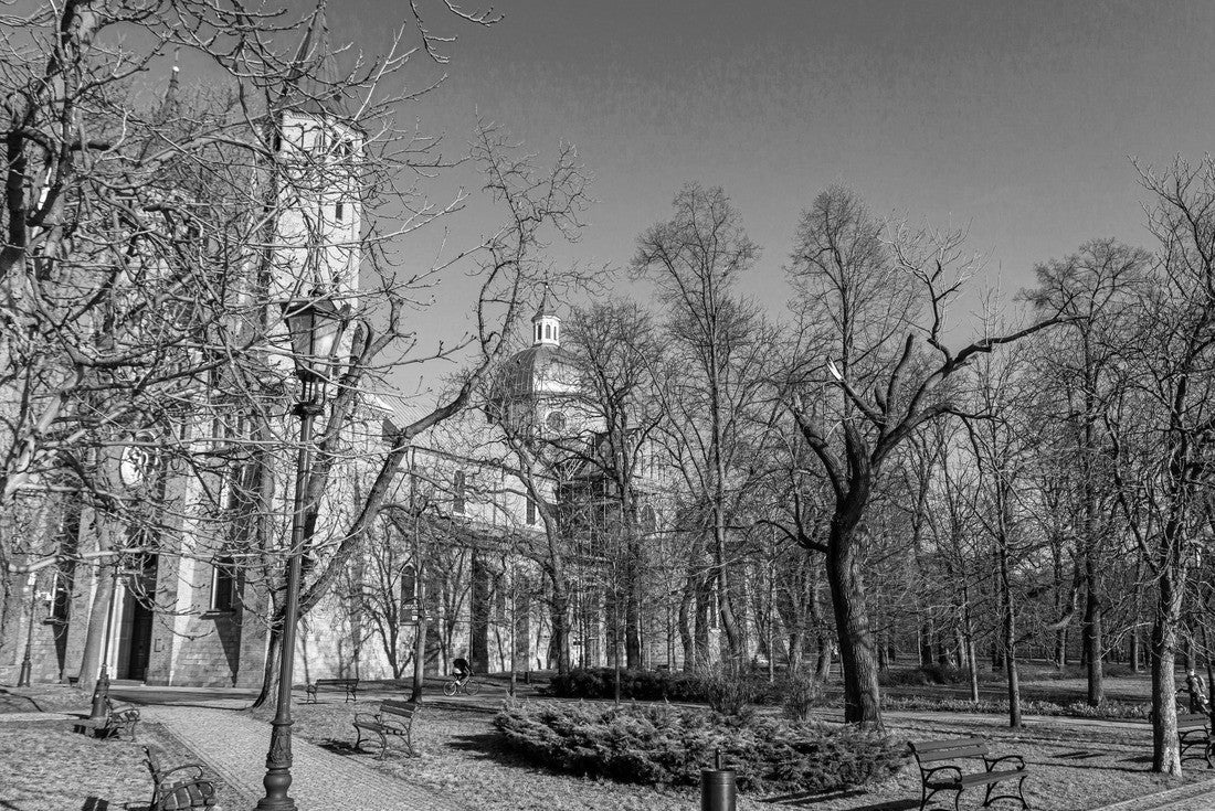 Tumskie Hill in Plock, Poland in spring. Bazylika Katedralna Wniebowziecia 2000pc PuzzleBlack and White