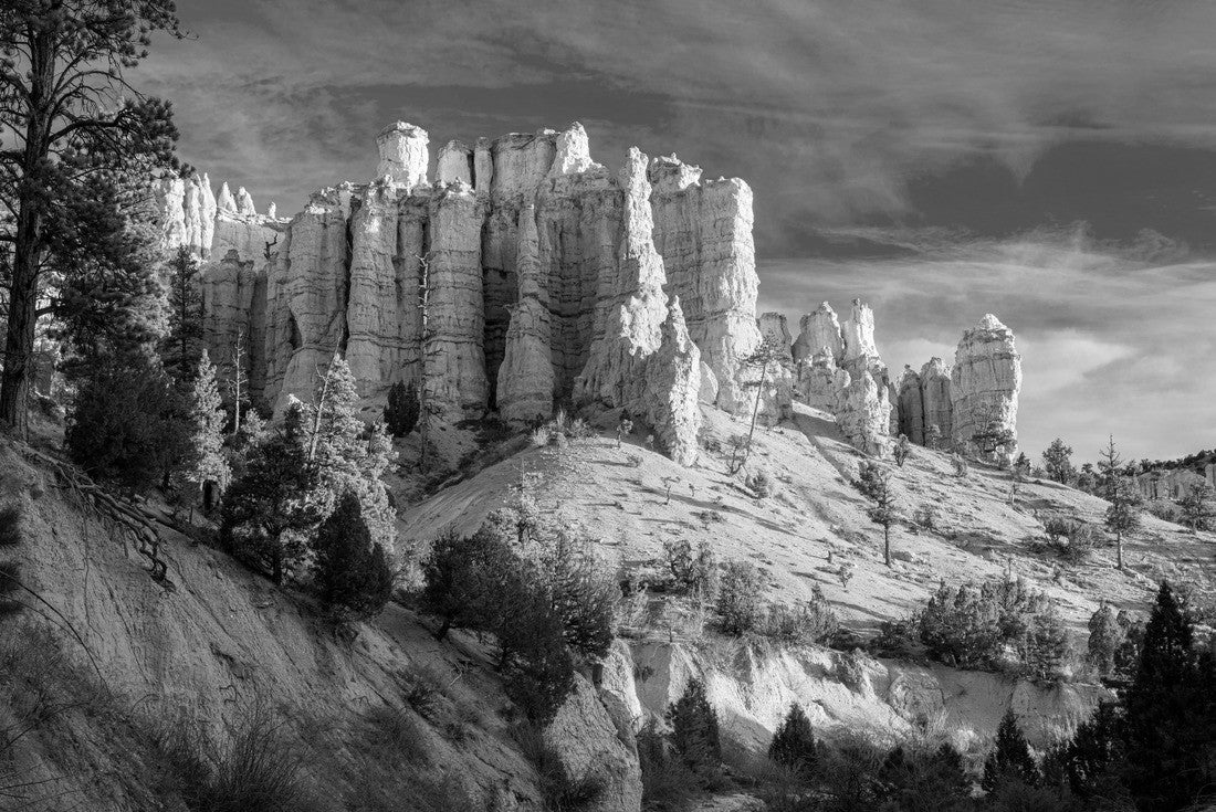 Landscape photograph of the Mossy Cave area of Bryce Canyon National Park in Utah at sunrise 2000pc PuzzleBlack and White