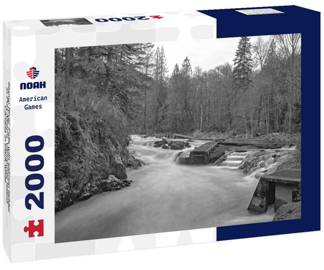 Stamp River Falls with salmon ladder in Port Alberni, Vancouver Island, Canada 2000pc PuzzleBlack and White