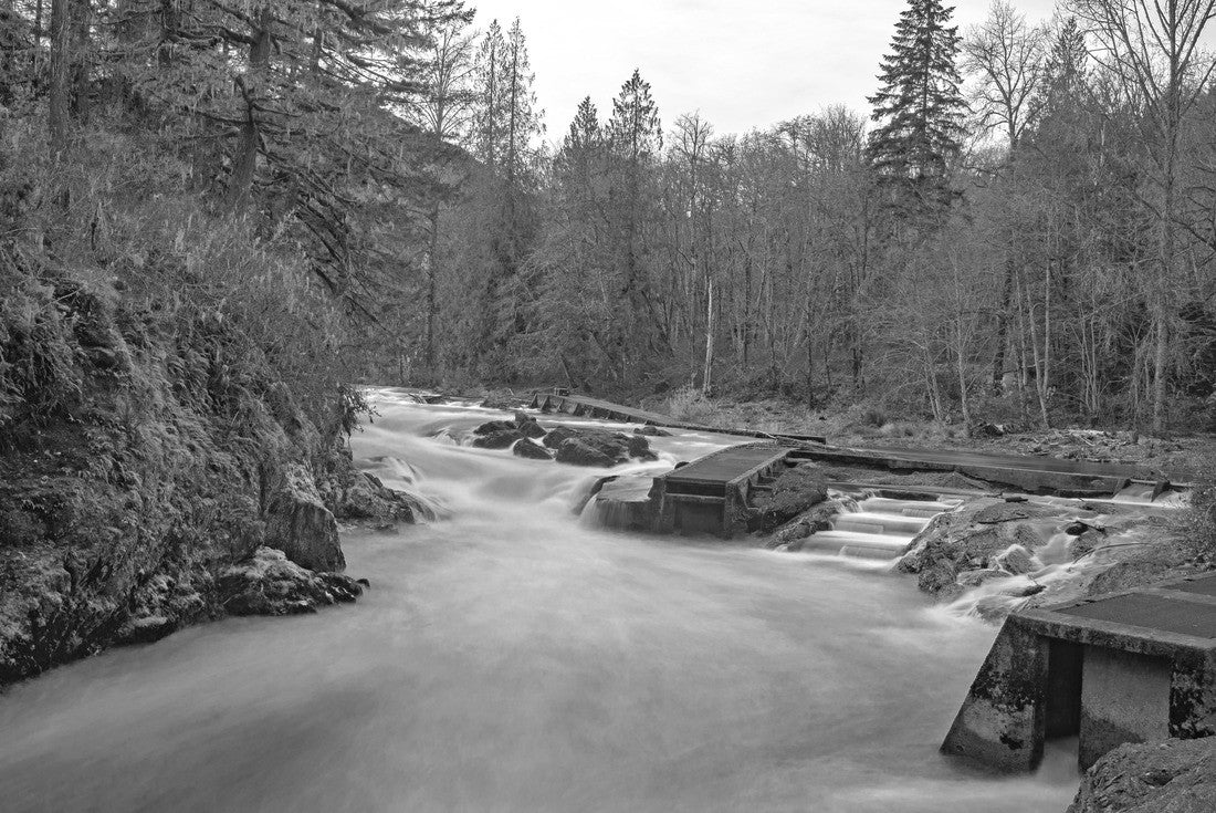 Stamp River Falls with salmon ladder in Port Alberni, Vancouver Island, Canada 2000pc PuzzleBlack and White