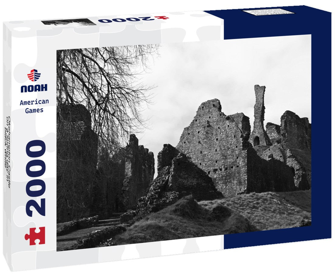 Okehampton Castle on a spring day 2000pc PuzzleBlack and White