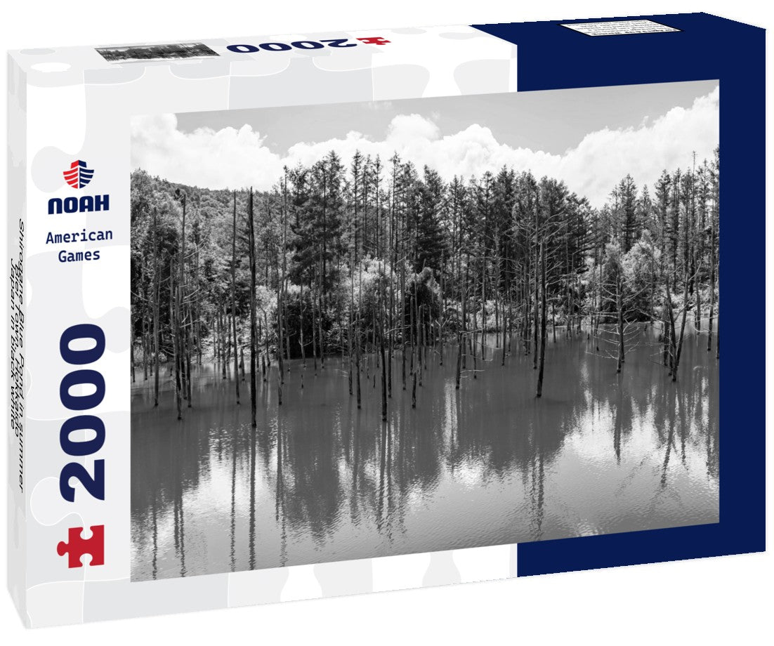 Shirogane Blue Pond in summer, Biei Town, Hokkaido, Japan 2000pc PuzzleBlack and White