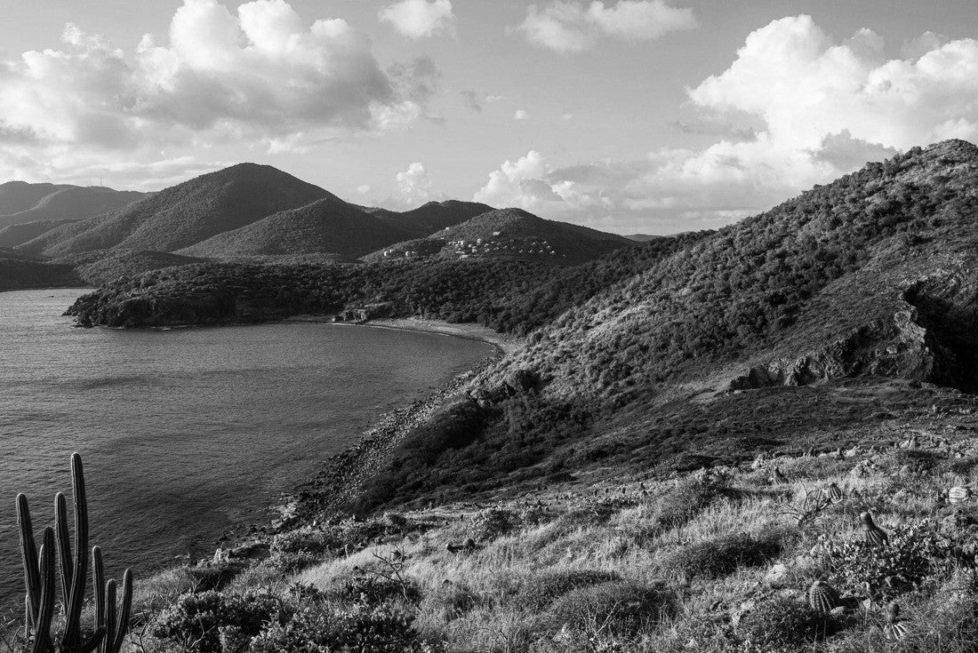 Noah Jigsaw Puzzle Beautiful landscape view of U.S. Virgin Islands National Park on the island of Saint John during the day in black white 2000 pieces