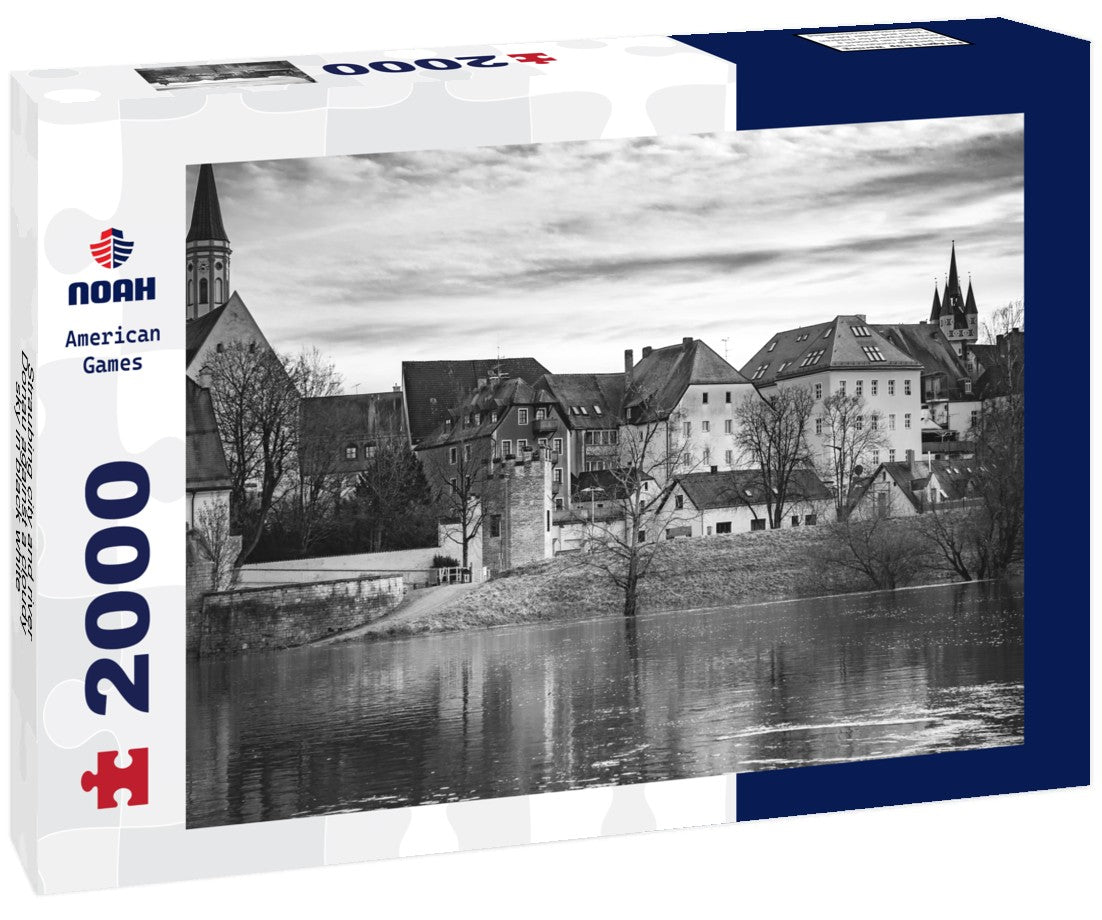 Straubing city and river Donau against a cloudy sky 2000pc PuzzleBlack and White
