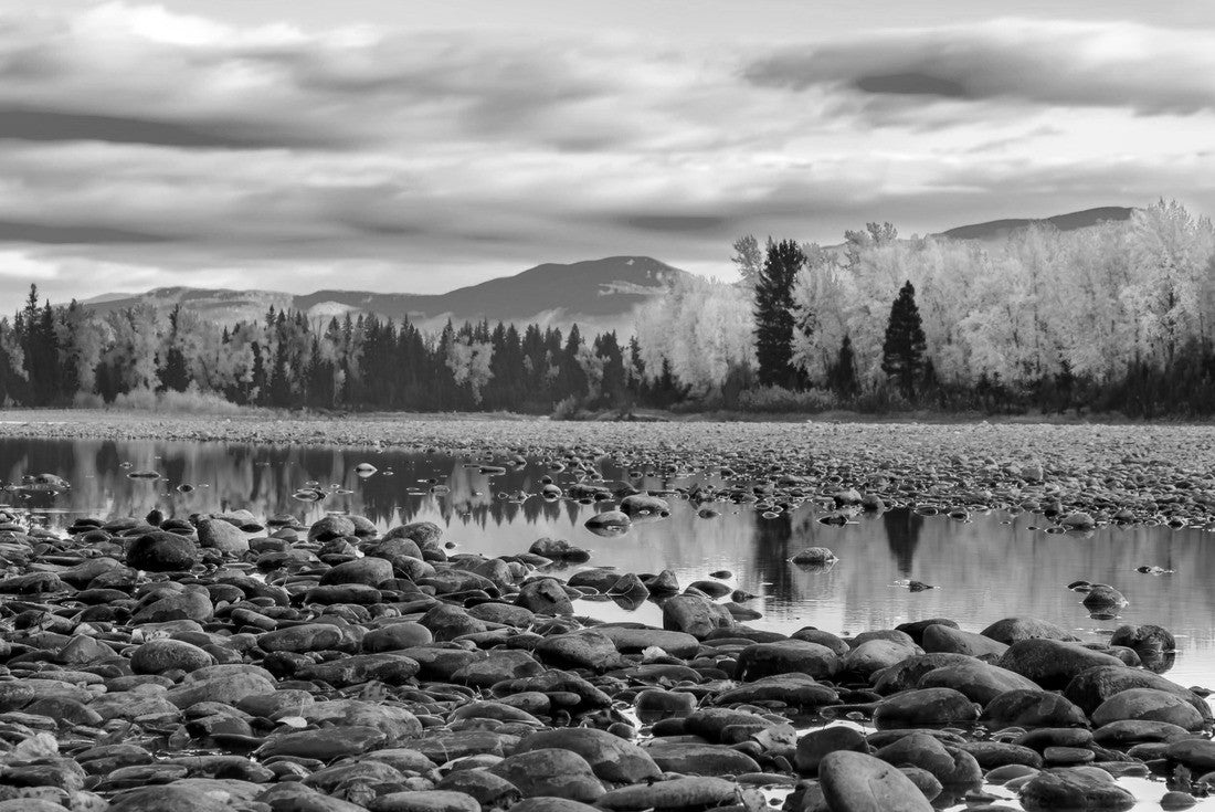 River rocks and color reflection on Flathead River, Montana in autumn with colorful fall trees 2000pc PuzzleBlack and White