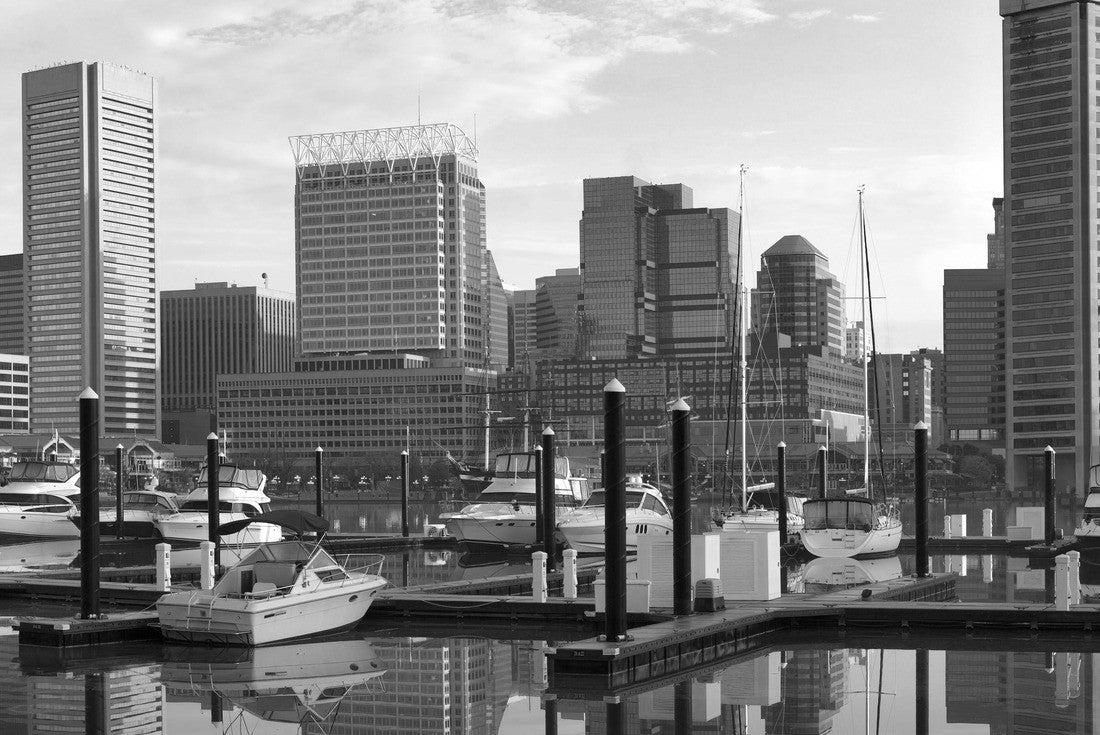 Noah Jigsaw Puzzle Downtown city skyline, Inner Harbor and marina, Baltimore, Maryland, USA in black white 2000 pieces
