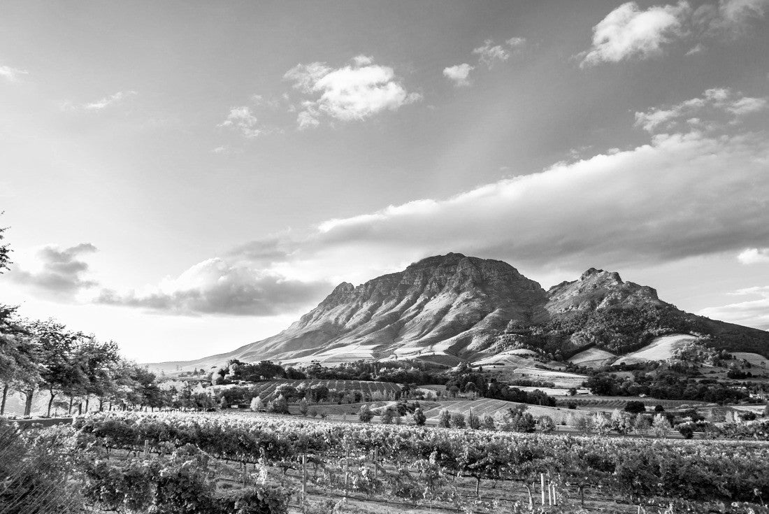 Wine region near Stellenbosch with view of Simonsberg Mountain in South Africa 2000pc PuzzleBlack and White