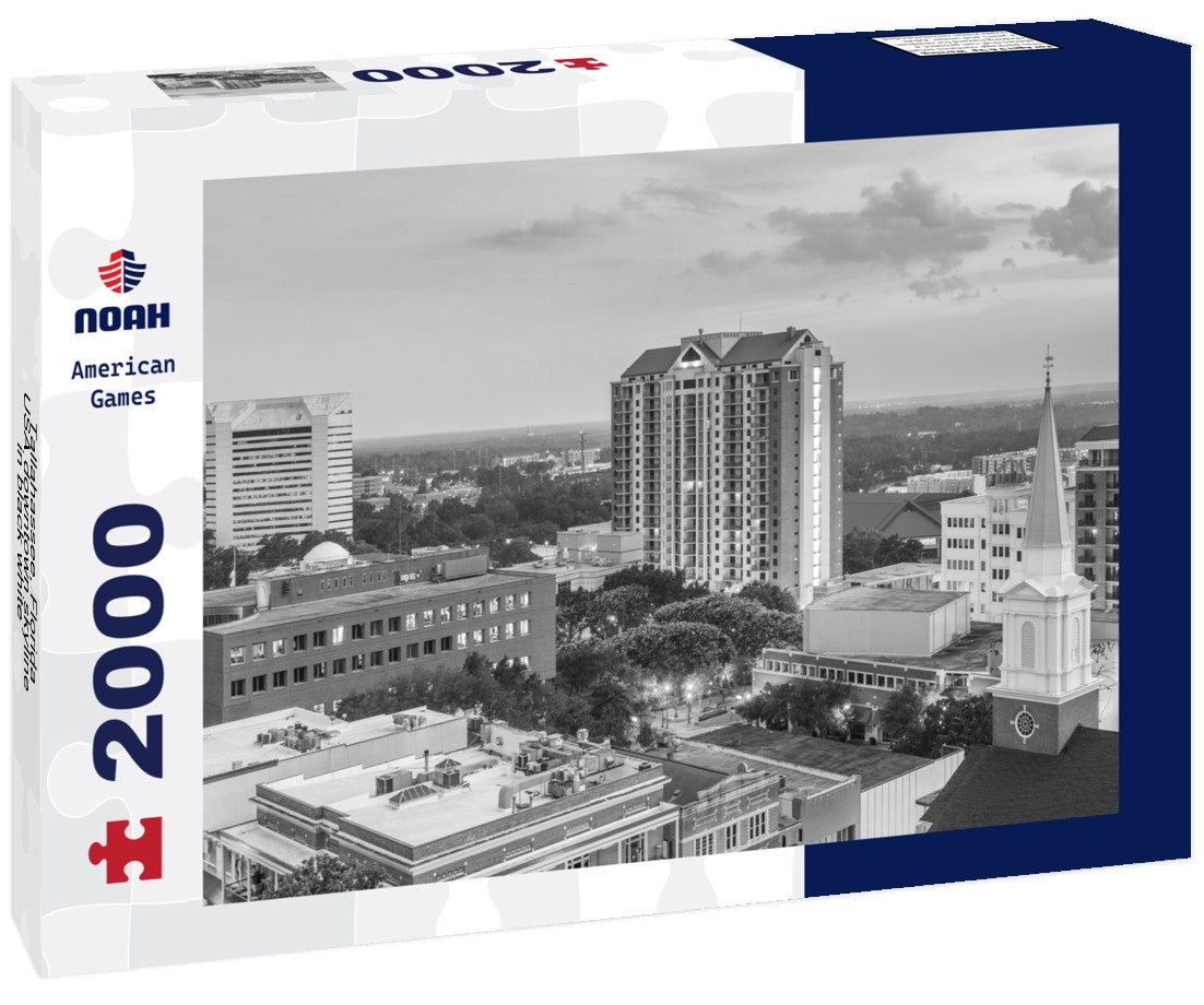 Tallahassee, Florida, USA downtown skyline 2000pc PuzzleBlack and White