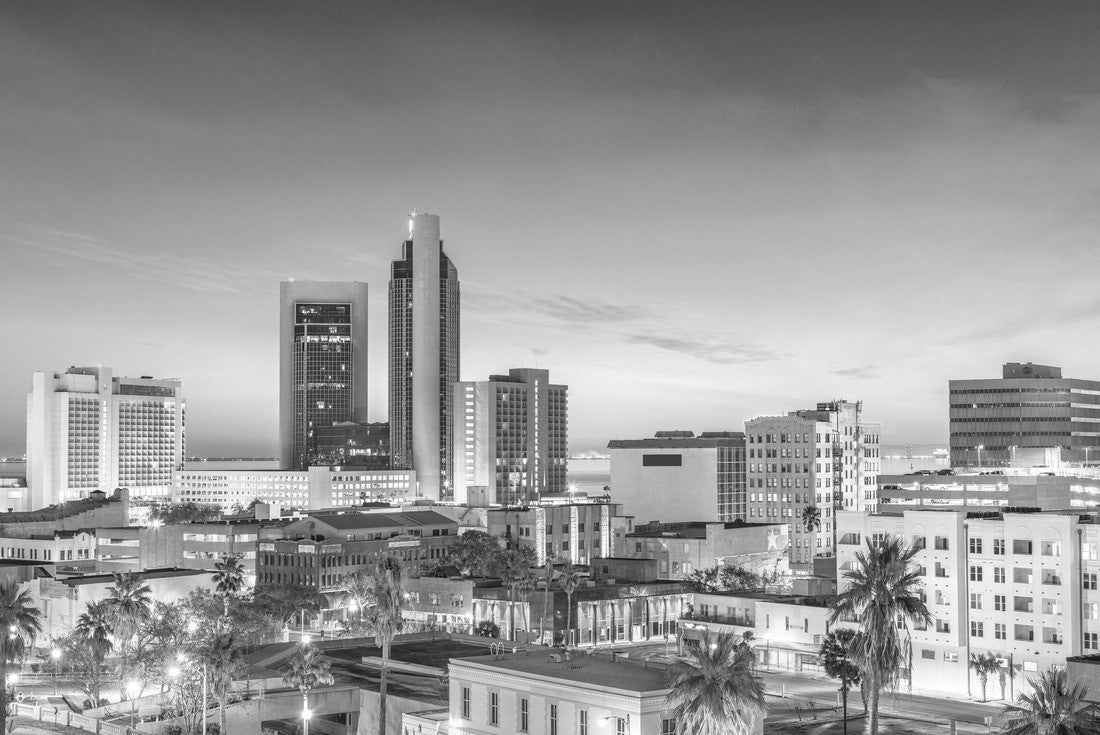 Corpus Christi, Texas, USA Skyline at dusk 2000pc PuzzleBlack and White