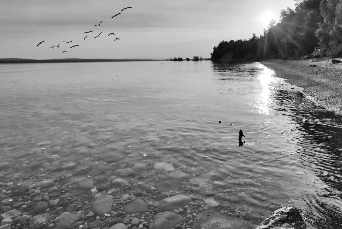 Enjoy the view of Lake Michigan at sunrise and sunset. This view is located between Petoskey and Charlevoix Michigan 2000pc PuzzleBlack and White