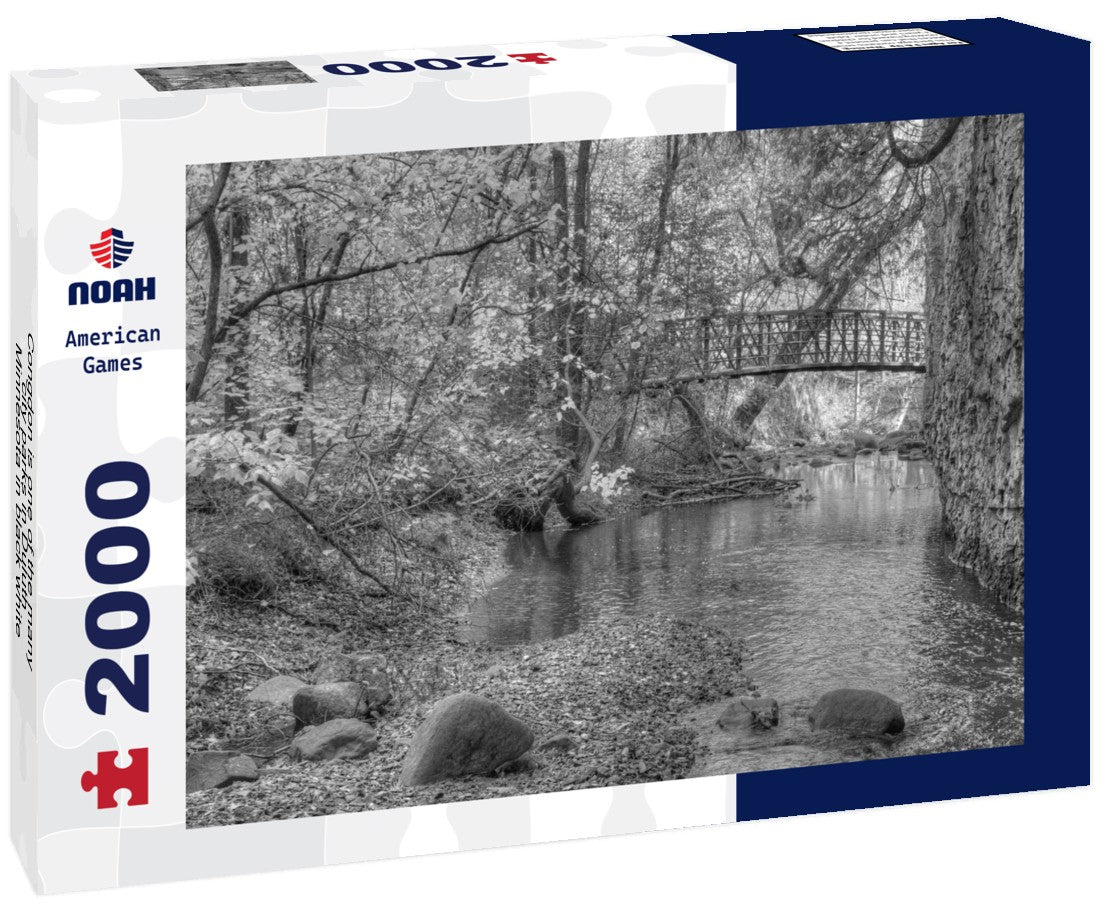 Congdon is one of the many city parks in Duluth, Minnesota 2000pc PuzzleBlack and White