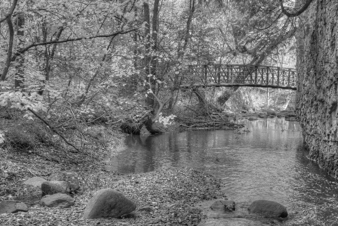Congdon is one of the many city parks in Duluth, Minnesota 2000pc PuzzleBlack and White