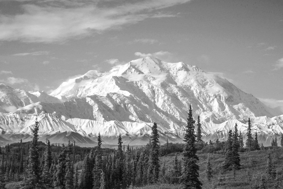 Early morning view of Mount Denali, the tallest peak in continental North America. One of those rare moments when the peak is not covered in clouds 2000pc PuzzleBlack and White