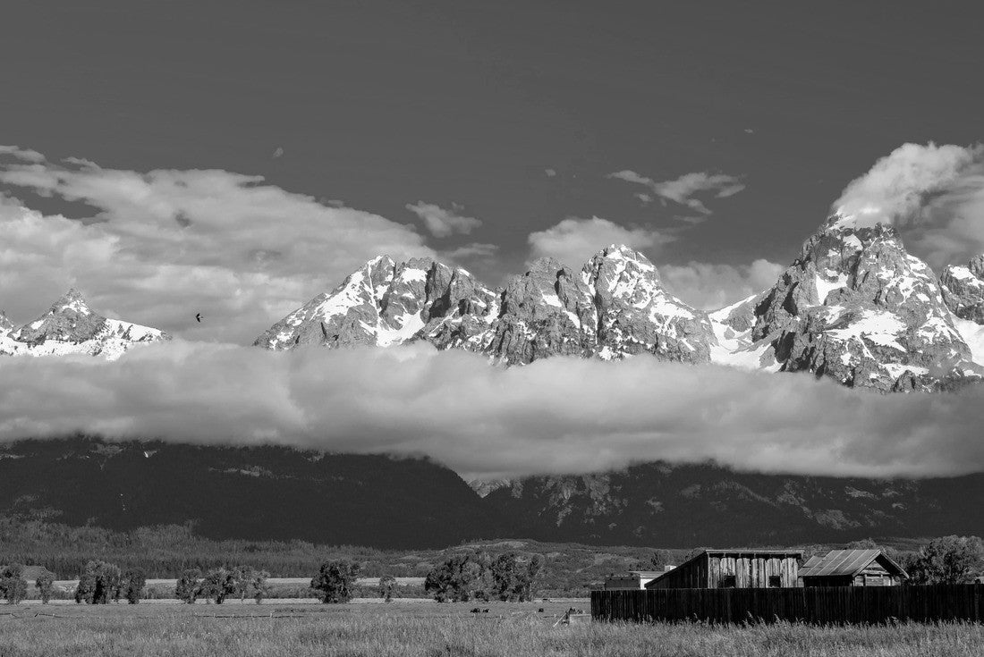 Noah Jigsaw Puzzle Grand Teton Mountains with low clouds. Grand Teton National Park, Wyoming, USA in black white 2000 pieces