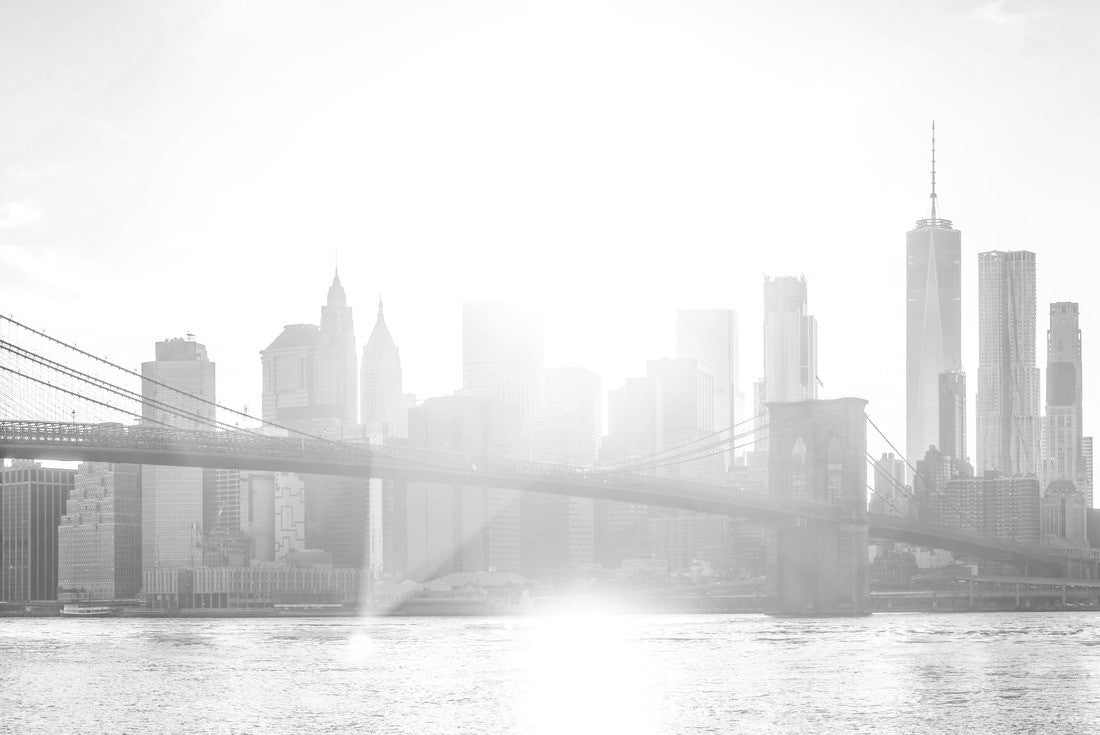 Noah Jigsaw Puzzle New York City, Skyline, Manhattan, USA in black white 2000 pieces