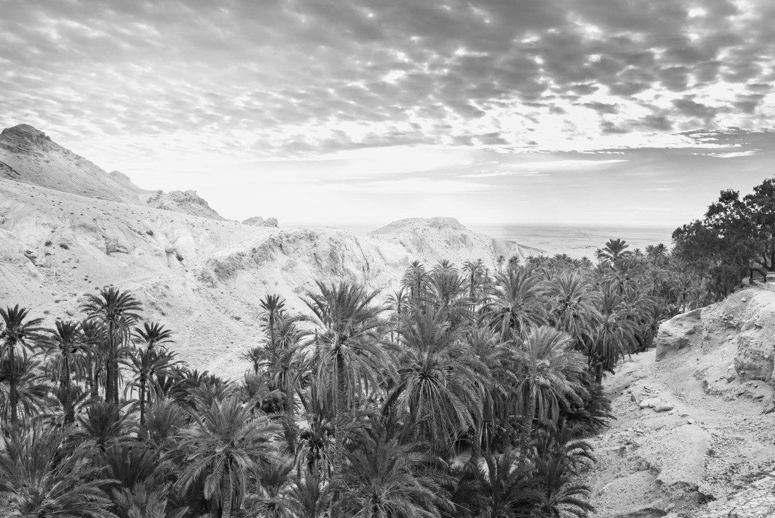 Noah Jigsaw Puzzle Panoramic view of the mountain oasis Chebika. Sahara Desert, Tunisia in black white 2000 pieces