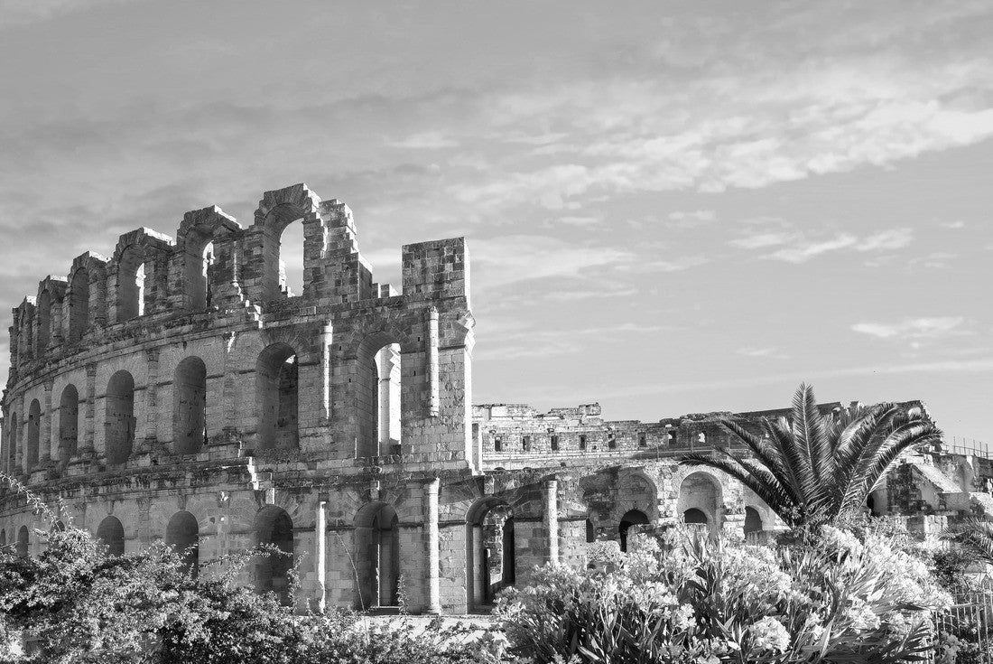 Noah Jigsaw Puzzle Panoramic view of the ancient Roman amphitheater in El Djem. Gouverneur of Mahdia, Tunisia, North Africa in black white 2000 pieces
